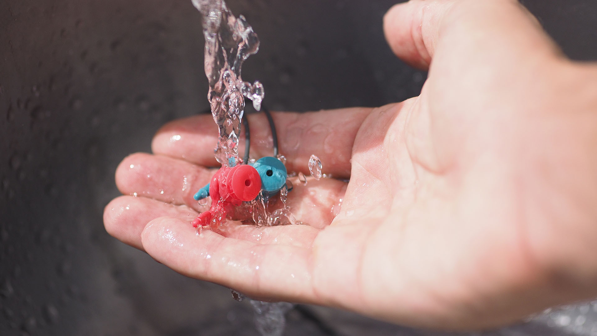 How To Clean Silicone Ear Plugs - Talking Safety
