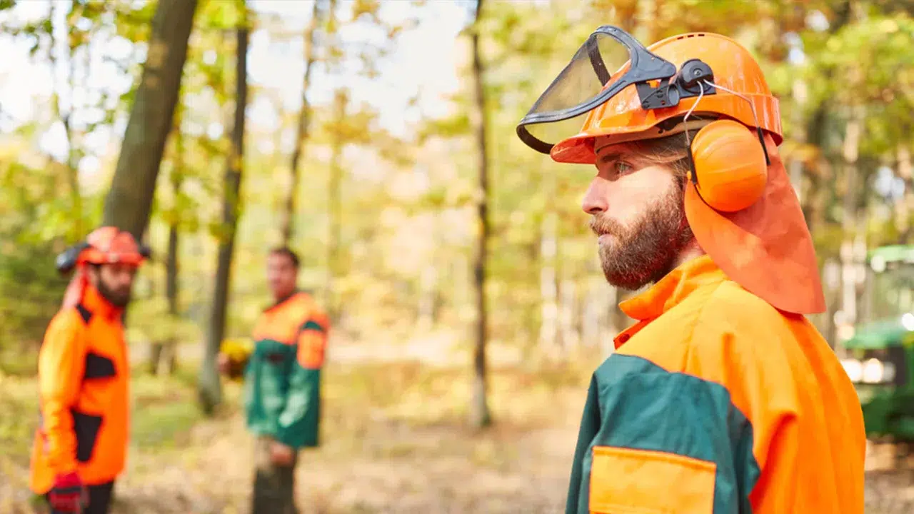 Hard Hat Face Protection